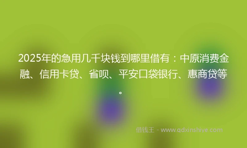 2025年的急用几千块钱到哪里借有：中原消费金融、信用卡贷、省呗、平安口袋银行、惠商贷等。