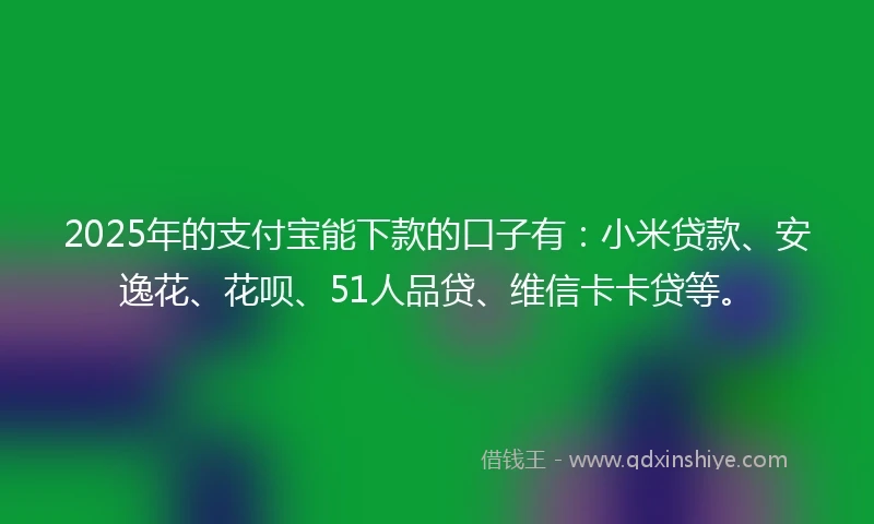 2025年的支付宝能下款的口子有：小米贷款、安逸花、花呗、51人品贷、维信卡卡贷等。
