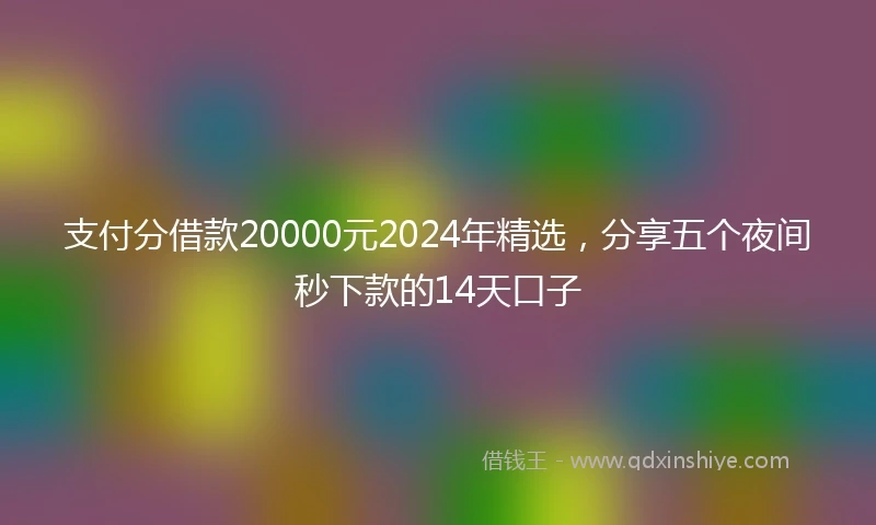 支付分借款20000元2024年精选，分享五个夜间秒下款的14天口子