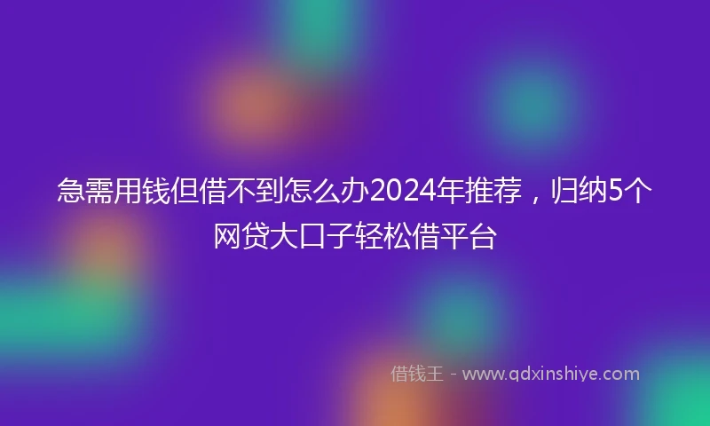 急需用钱但借不到怎么办2024年推荐，归纳5个网贷大口子轻松借平台