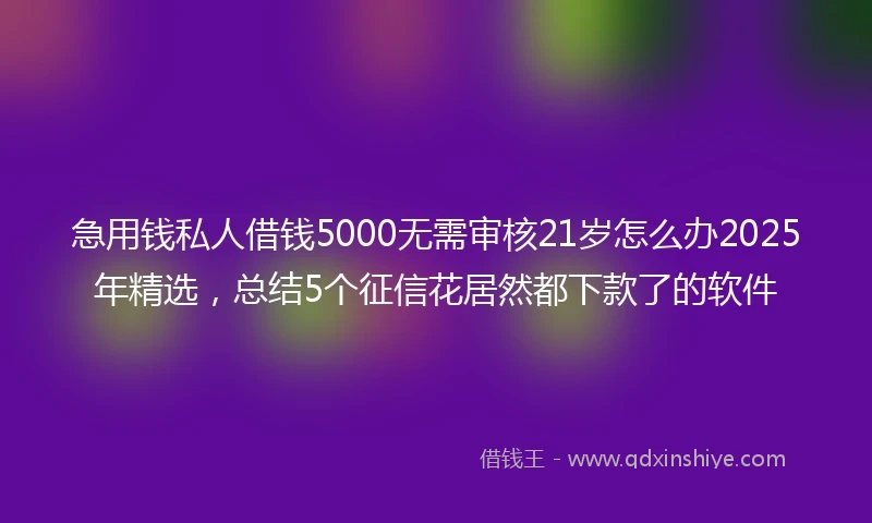 急用钱私人借钱5000无需审核21岁怎么办2025年精选，总结5个征信花居然都下款了的软件