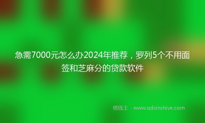 急需7000元怎么办2024年推荐，罗列5个不用面签和芝麻分的贷款软件