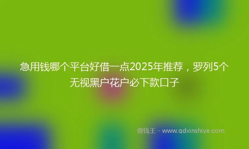 急用钱哪个平台好借一点2025年推荐，罗列5个无视黑户花户必下款口子
