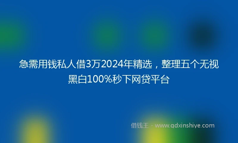 急需用钱私人借3万2024年精选，整理五个无视黑白100%秒下网贷平台