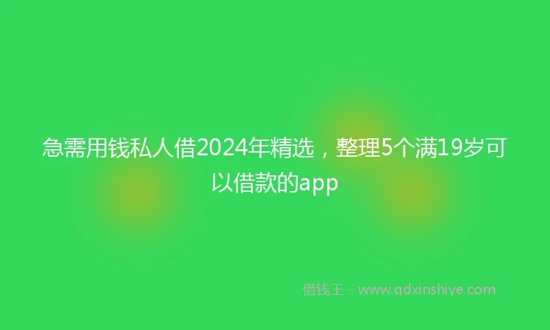 急需用钱私人借2024年精选，整理5个满19岁可以借款的app