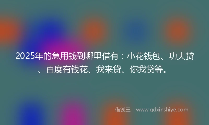 2025年的急用钱到哪里借有：小花钱包、功夫贷、百度有钱花、我来贷、你我贷等。