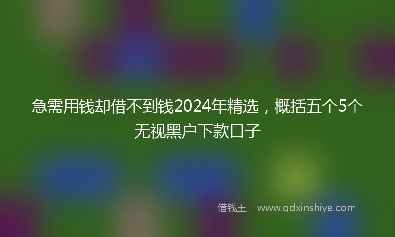 急需用钱却借不到钱2024年精选，概括五个5个无视黑户下款口子
