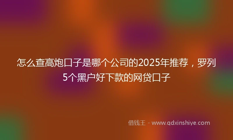 怎么查高炮口子是哪个公司的2025年推荐，罗列5个黑户好下款的网贷口子