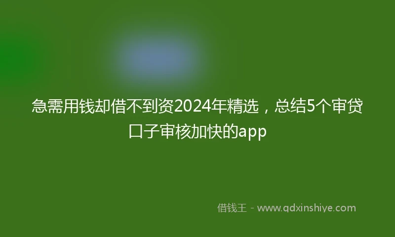 急需用钱却借不到资2024年精选，总结5个审贷口子审核加快的app