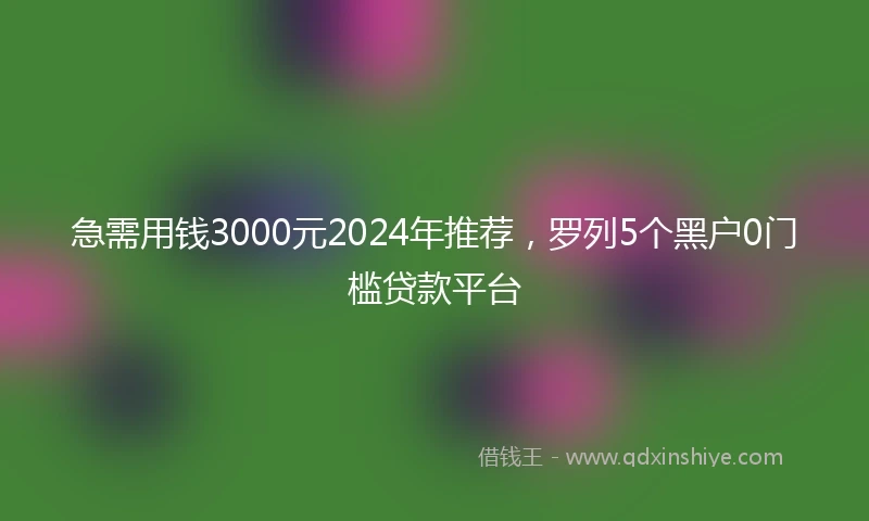 急需用钱3000元2024年推荐，罗列5个黑户0门槛贷款平台