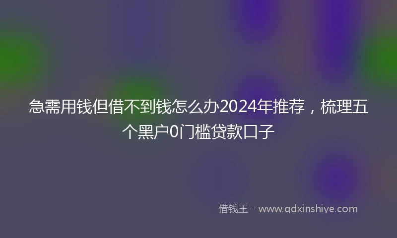 急需用钱但借不到钱怎么办2024年推荐，梳理五个黑户0门槛贷款口子