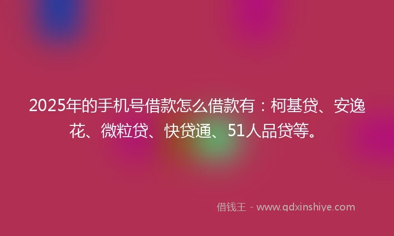 2025年的手机号借款怎么借款有：柯基贷、安逸花、微粒贷、快贷通、51人品贷等。