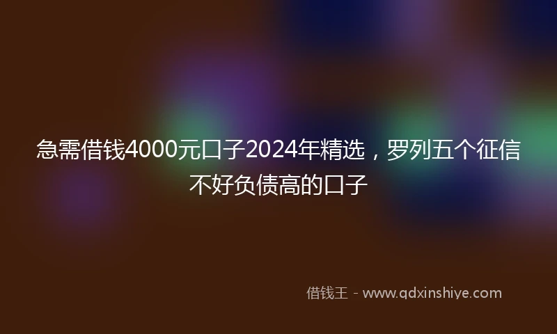 急需借钱4000元口子2024年精选，罗列五个征信不好负债高的口子