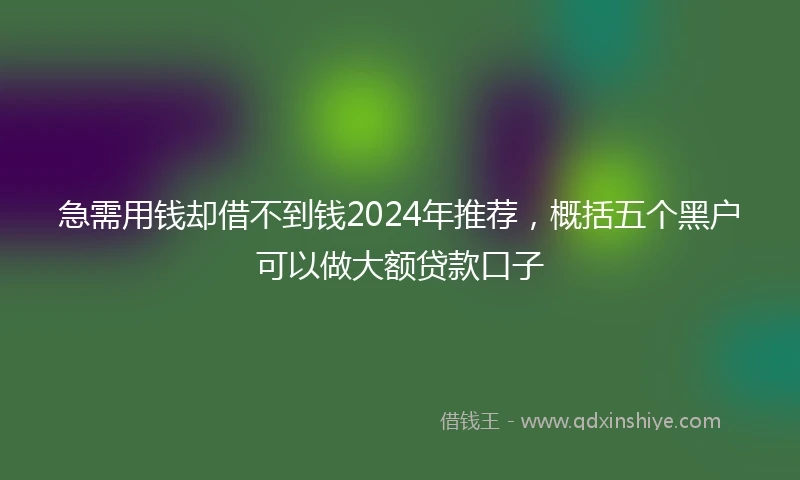 急需用钱却借不到钱2024年推荐，概括五个黑户可以做大额贷款口子