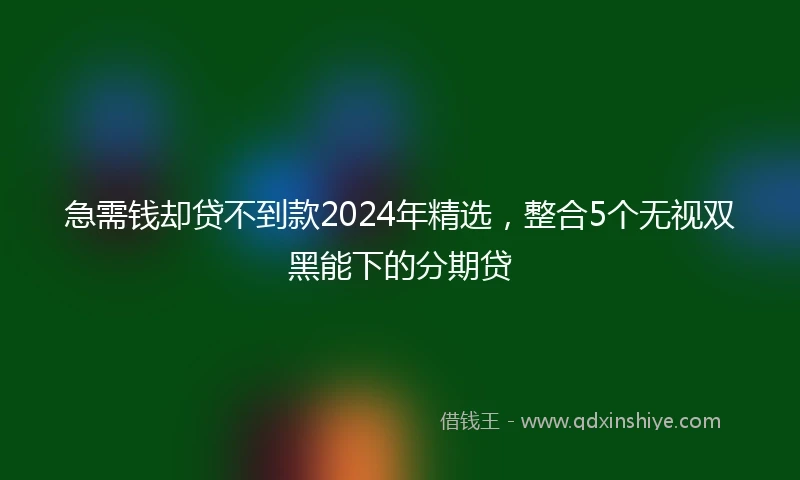 急需钱却贷不到款2024年精选，整合5个无视双黑能下的分期贷