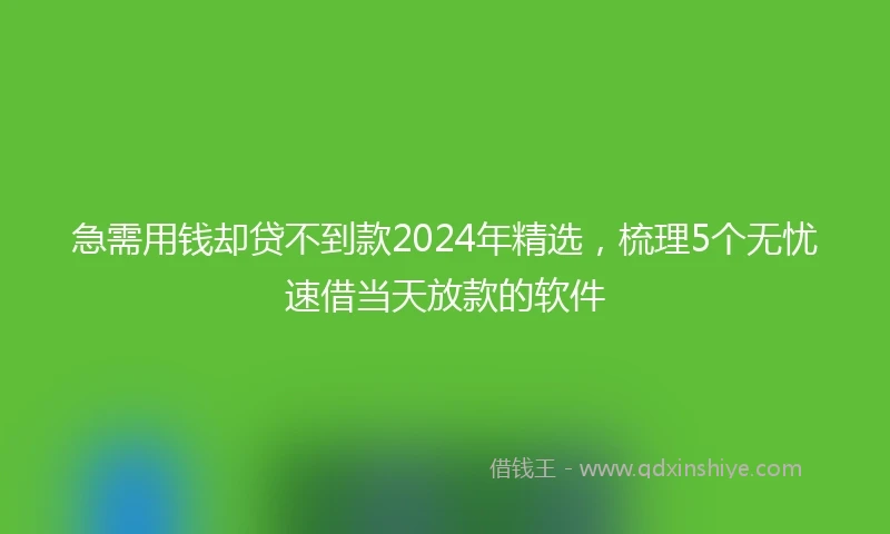 急需用钱却贷不到款2024年精选，梳理5个无忧速借当天放款的软件