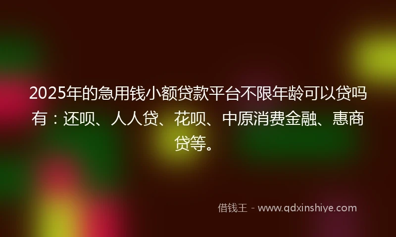 2025年的急用钱小额贷款平台不限年龄可以贷吗有：还呗、人人贷、花呗、中原消费金融、惠商贷等。