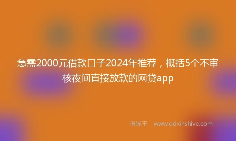 急需2000元借款口子2024年推荐，概括5个不审核夜间直接放款的网贷app