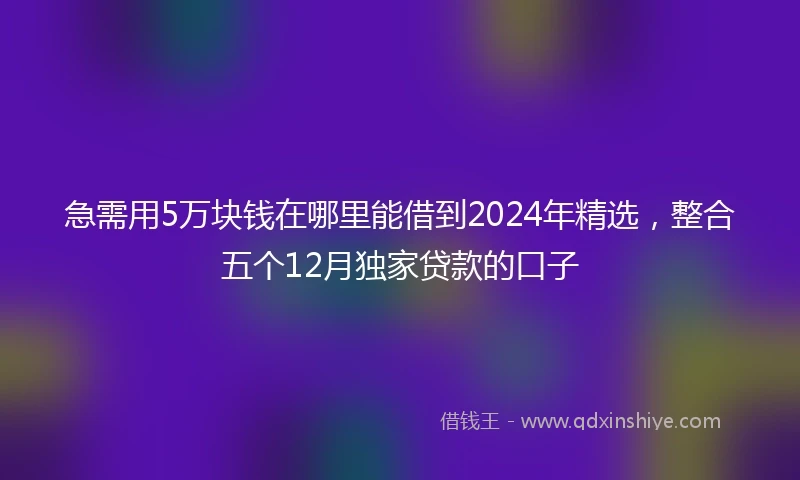 急需用5万块钱在哪里能借到2024年精选，整合五个12月独家贷款的口子