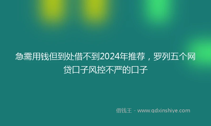 急需用钱但到处借不到2024年推荐，罗列五个网贷口子风控不严的口子