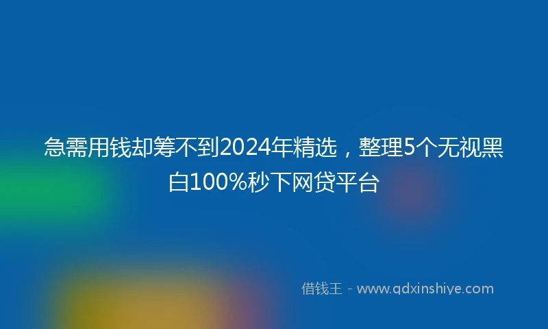 急需用钱却筹不到2024年精选，整理5个无视黑白100%秒下网贷平台