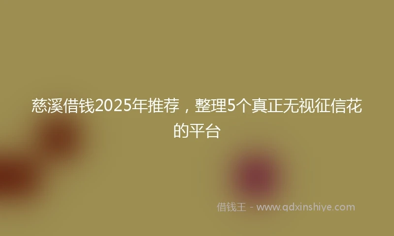 慈溪借钱2025年推荐，整理5个真正无视征信花的平台