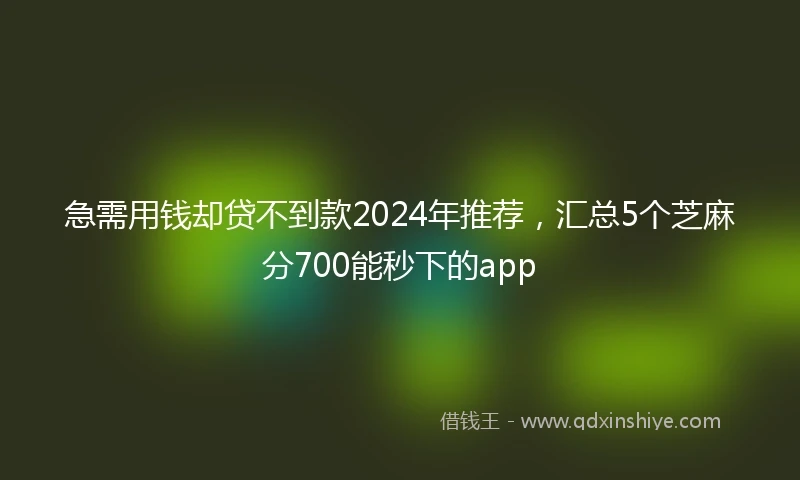 急需用钱却贷不到款2024年推荐，汇总5个芝麻分700能秒下的app