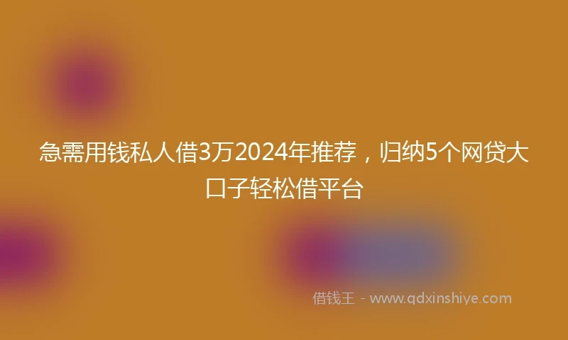 急需用钱私人借3万2024年推荐，归纳5个网贷大口子轻松借平台