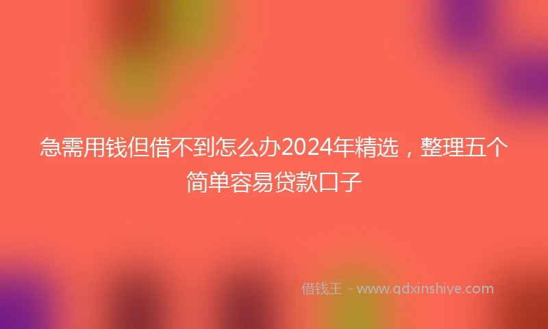 急需用钱但借不到怎么办2024年精选，整理五个简单容易贷款口子