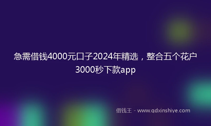 急需借钱4000元口子2024年精选，整合五个花户3000秒下款app