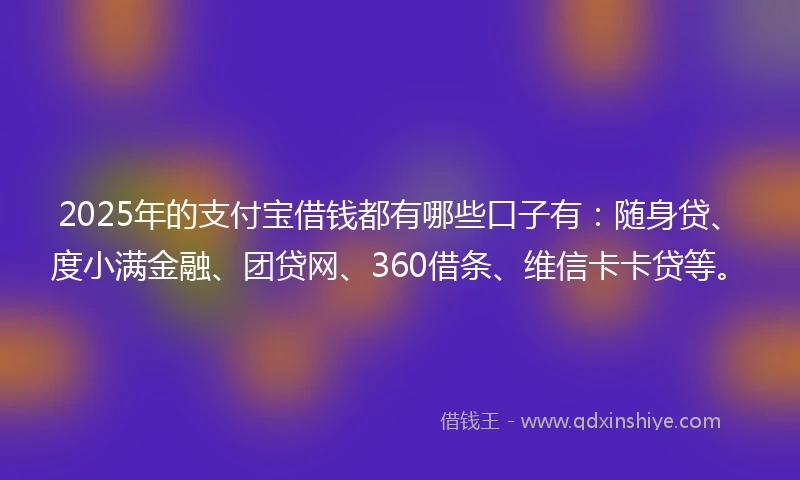 2025年的支付宝借钱都有哪些口子有：随身贷、度小满金融、团贷网、360借条、维信卡卡贷等。