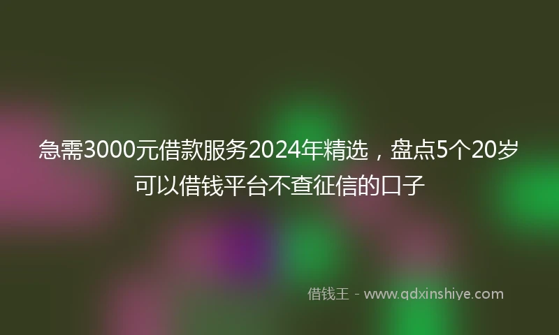 急需3000元借款服务2024年精选，盘点5个20岁可以借钱平台不查征信的口子