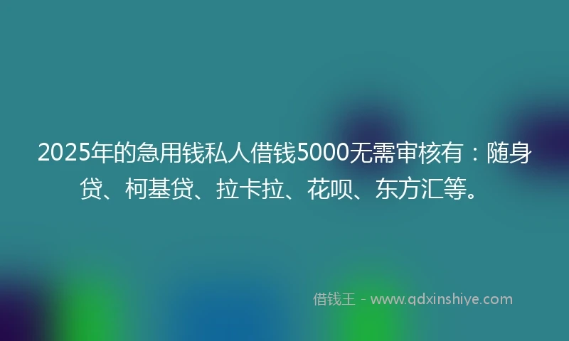 2025年的急用钱私人借钱5000无需审核有：随身贷、柯基贷、拉卡拉、花呗、东方汇等。
