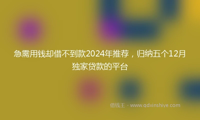 急需用钱却借不到款2024年推荐，归纳五个12月独家贷款的平台