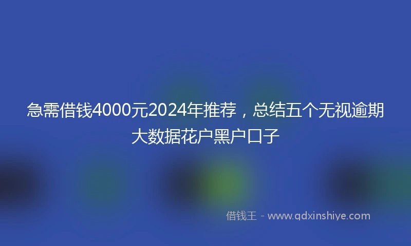 急需借钱4000元2024年推荐，总结五个无视逾期大数据花户黑户口子