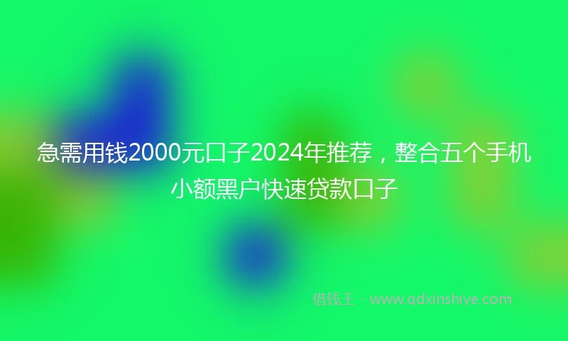 急需用钱2000元口子2024年推荐，整合五个手机小额黑户快速贷款口子