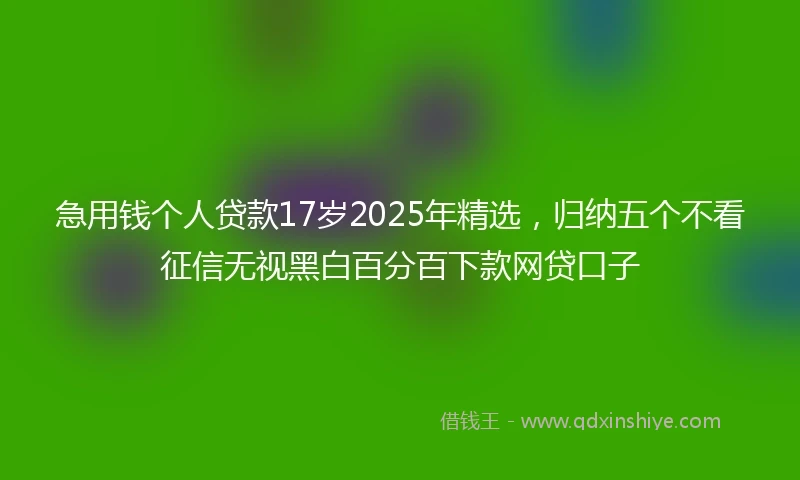 急用钱个人贷款17岁2025年精选，归纳五个不看征信无视黑白百分百下款网贷口子
