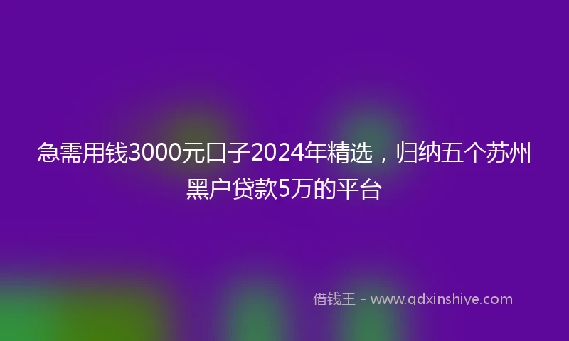 急需用钱3000元口子2024年精选，归纳五个苏州黑户贷款5万的平台