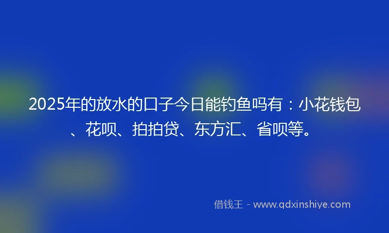 2025年的放水的口子今日能钓鱼吗有：小花钱包、花呗、拍拍贷、东方汇、省呗等。