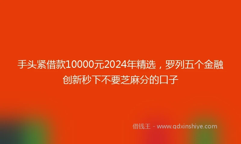 手头紧借款10000元2024年精选，罗列五个金融创新秒下不要芝麻分的口子