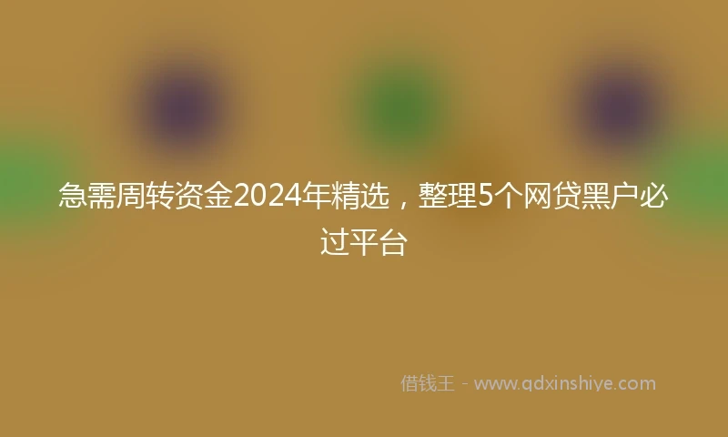 急需周转资金2024年精选，整理5个网贷黑户必过平台
