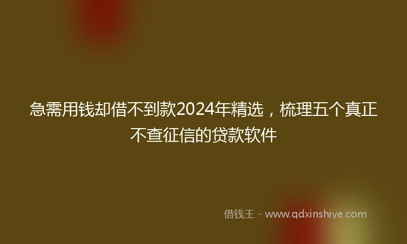 急需用钱却借不到款2024年精选，梳理五个真正不查征信的贷款软件