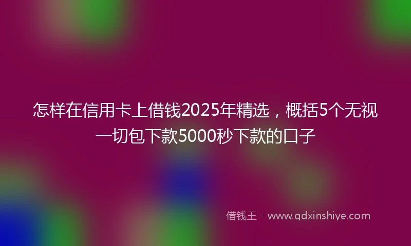 怎样在信用卡上借钱2025年精选，概括5个无视一切包下款5000秒下款的口子