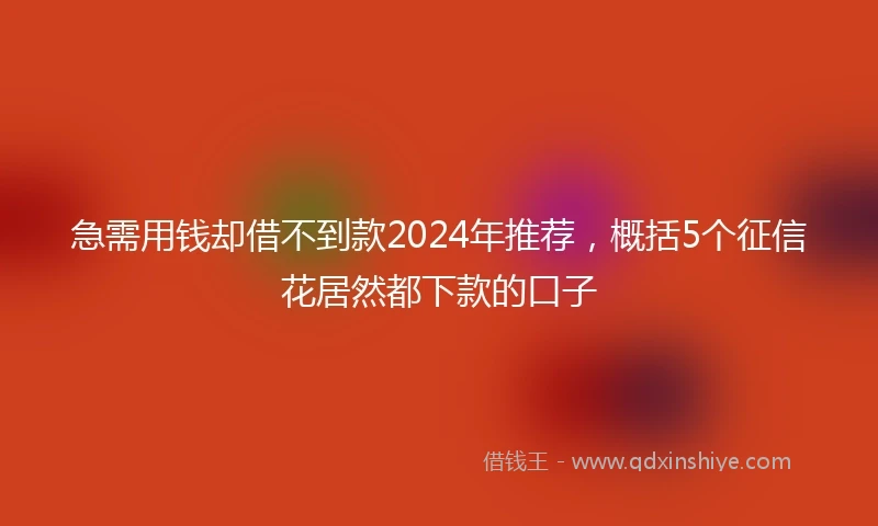 急需用钱却借不到款2024年推荐，概括5个征信花居然都下款的口子