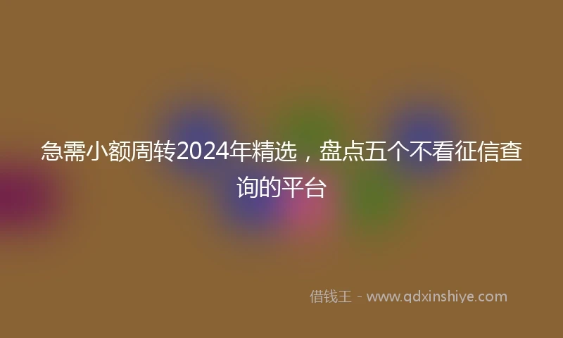 急需小额周转2024年精选，盘点五个不看征信查询的平台
