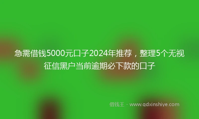 急需借钱5000元口子2024年推荐，整理5个无视征信黑户当前逾期必下款的口子