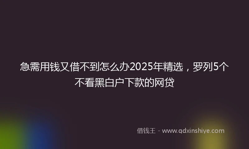 急需用钱又借不到怎么办2025年精选，罗列5个不看黑白户下款的网贷