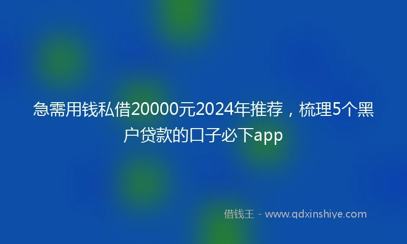 急需用钱私借20000元2024年推荐，梳理5个黑户贷款的口子必下app