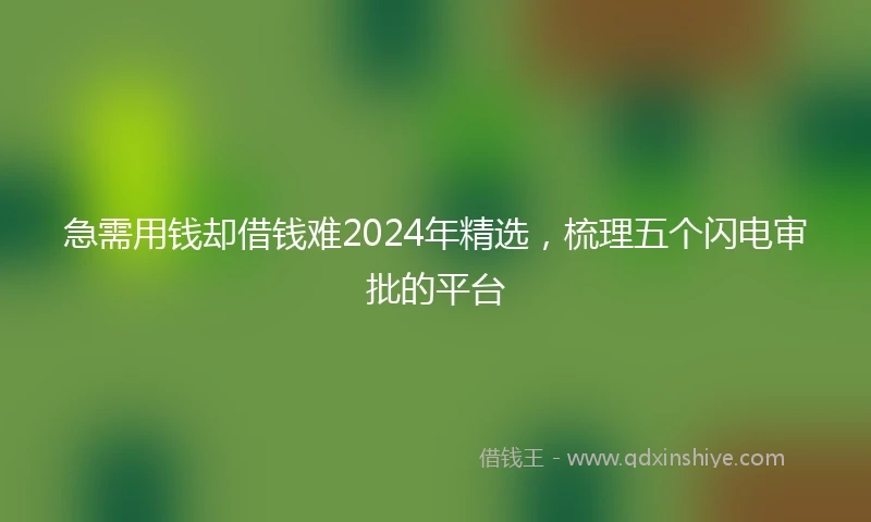 急需用钱却借钱难2024年精选，梳理五个闪电审批的平台