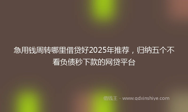 急用钱周转哪里借贷好2025年推荐，归纳五个不看负债秒下款的网贷平台